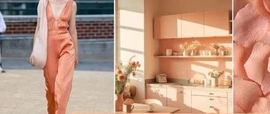 森尼2024流行色|暖色潮回歸，每一片蘊含大美。