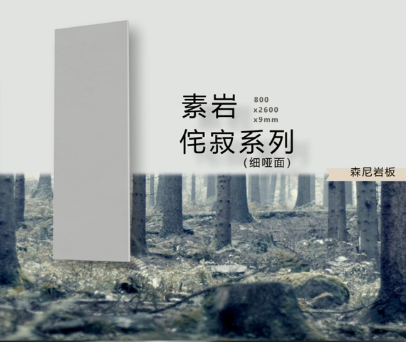 素巖侘寂系列（細啞面）